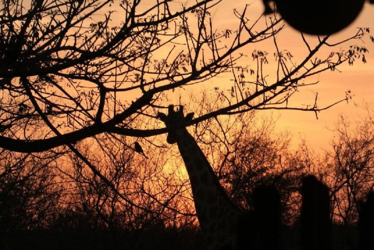 Bushvilla Umoja Kruger Phalaborwa Εξωτερικό φωτογραφία