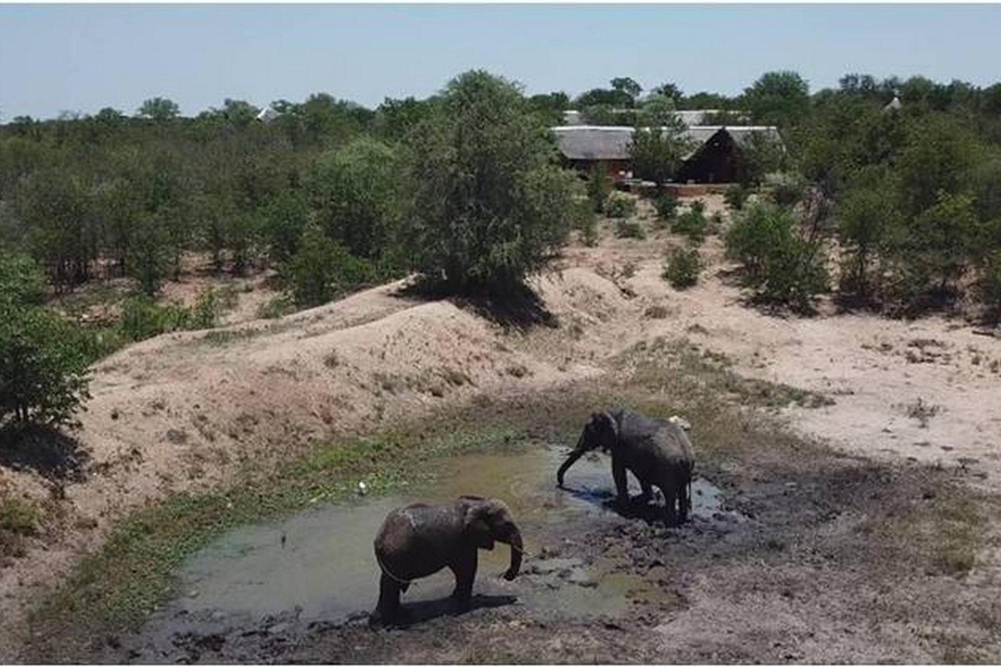Bushvilla Umoja Kruger Phalaborwa Εξωτερικό φωτογραφία