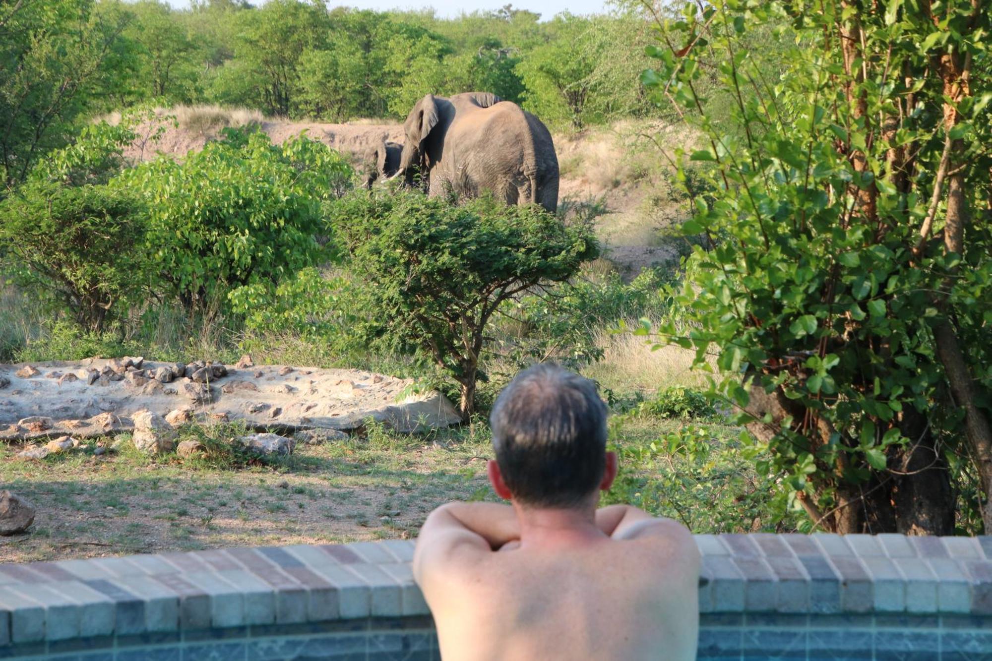Bushvilla Umoja Kruger Phalaborwa Εξωτερικό φωτογραφία